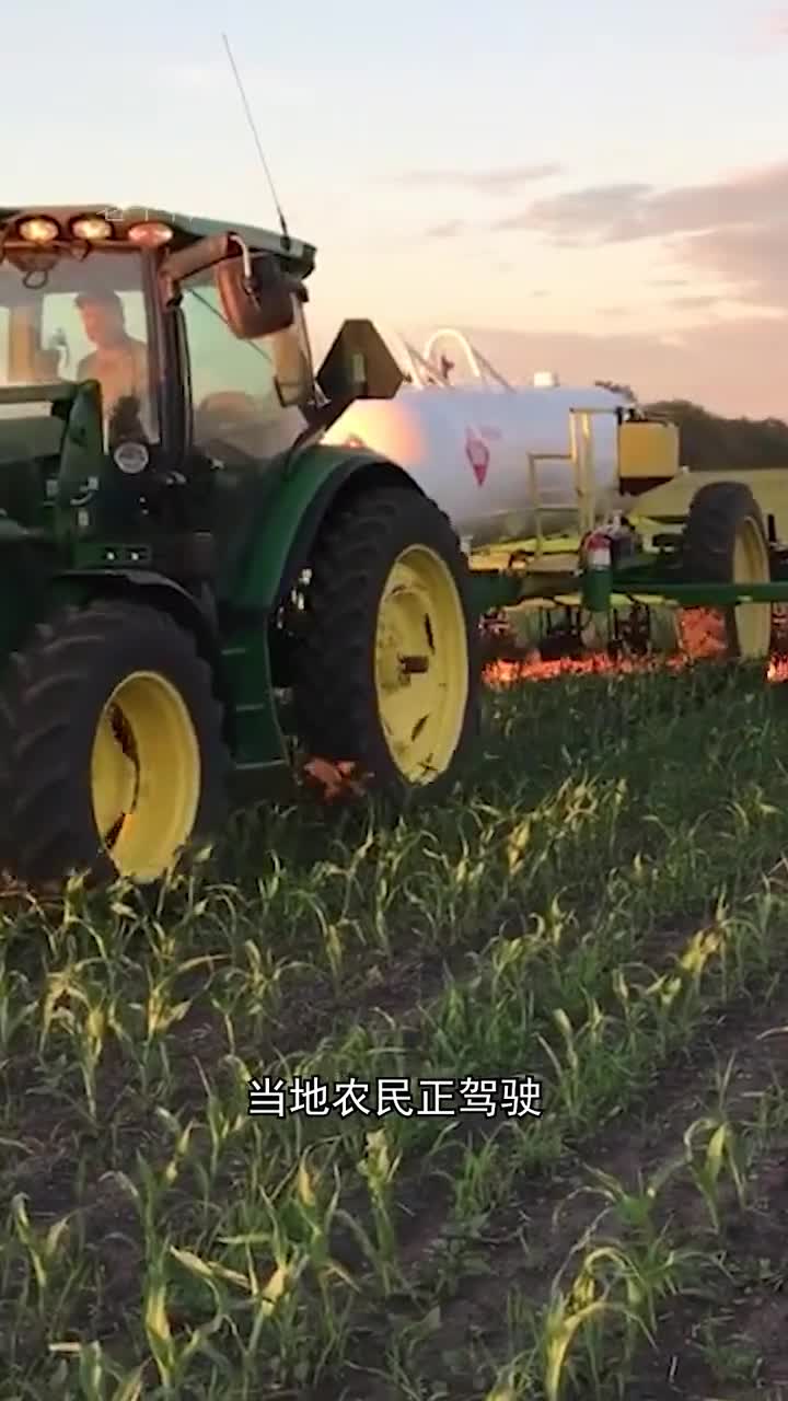 国外是如何快速高效清除杂草的