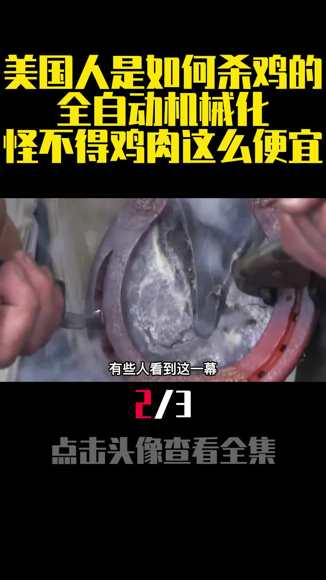 野马不需要马蹄铁为何家马却离不开马蹄铁究竟有啥用呢2