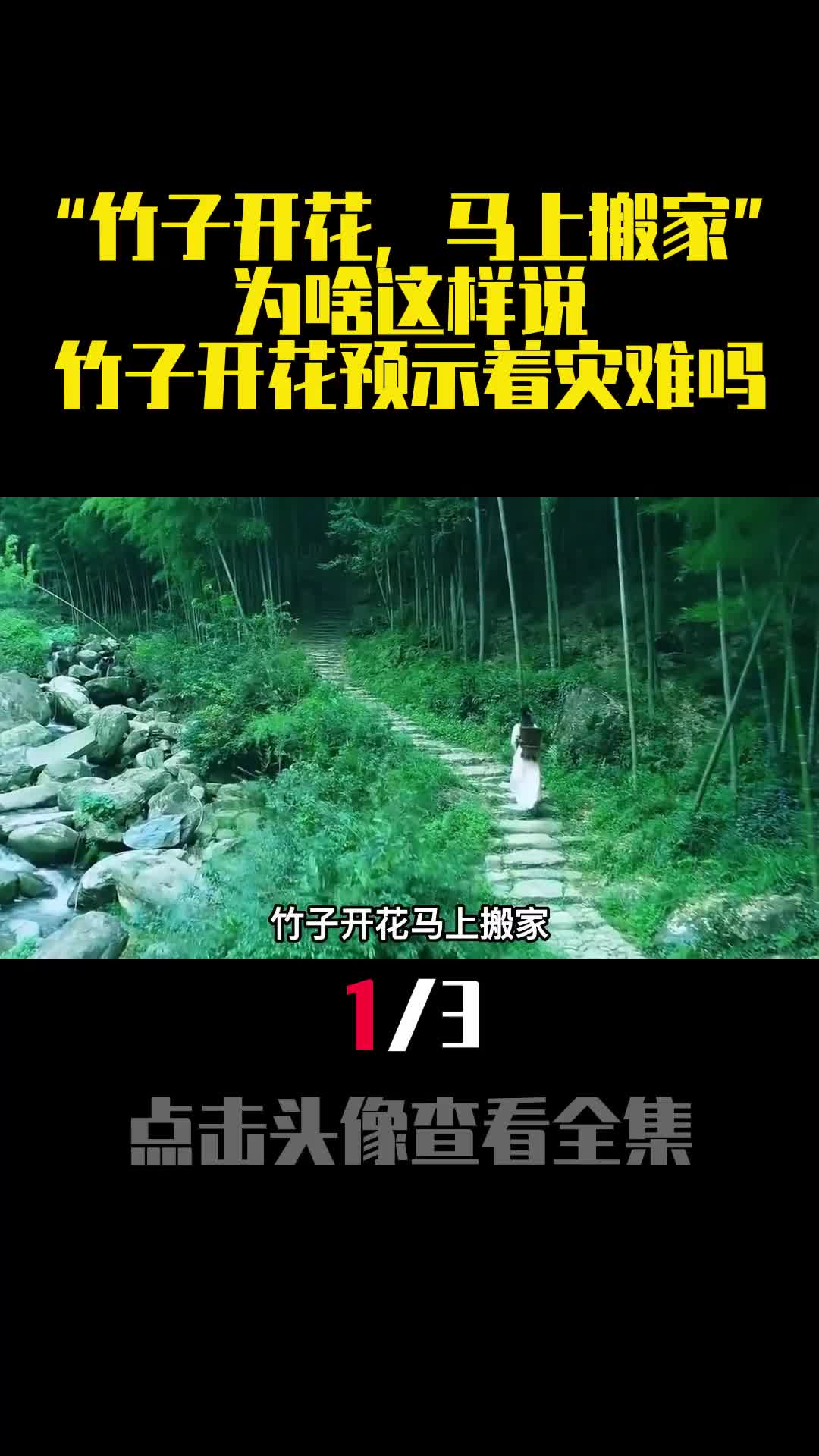 竹子开花马上搬家为啥这样说竹子开花预示着灾难吗1