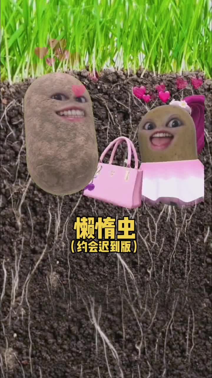 周末浅浅偷个懒吧