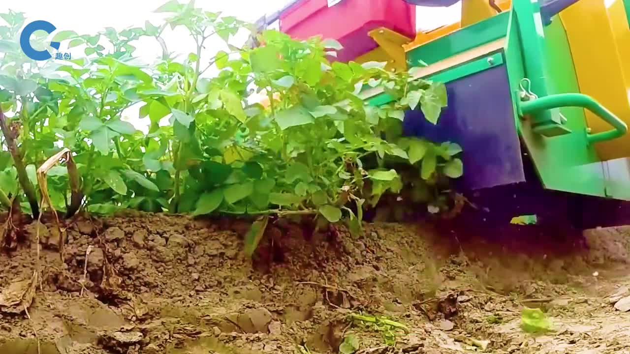 不可思议的土豆收割机上面切割多余的枝叶下面翻土剥离土豆