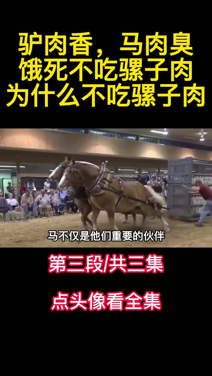 老话说驴肉香马肉臭饿死不吃骡子肉为什么不吃骡子肉3