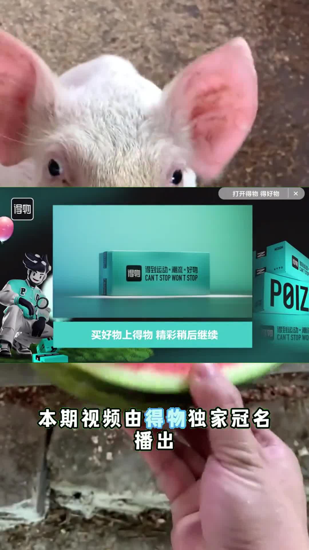 美国猪肉为何这么便宜一斤才卖4元看完养殖加工过程就明白1