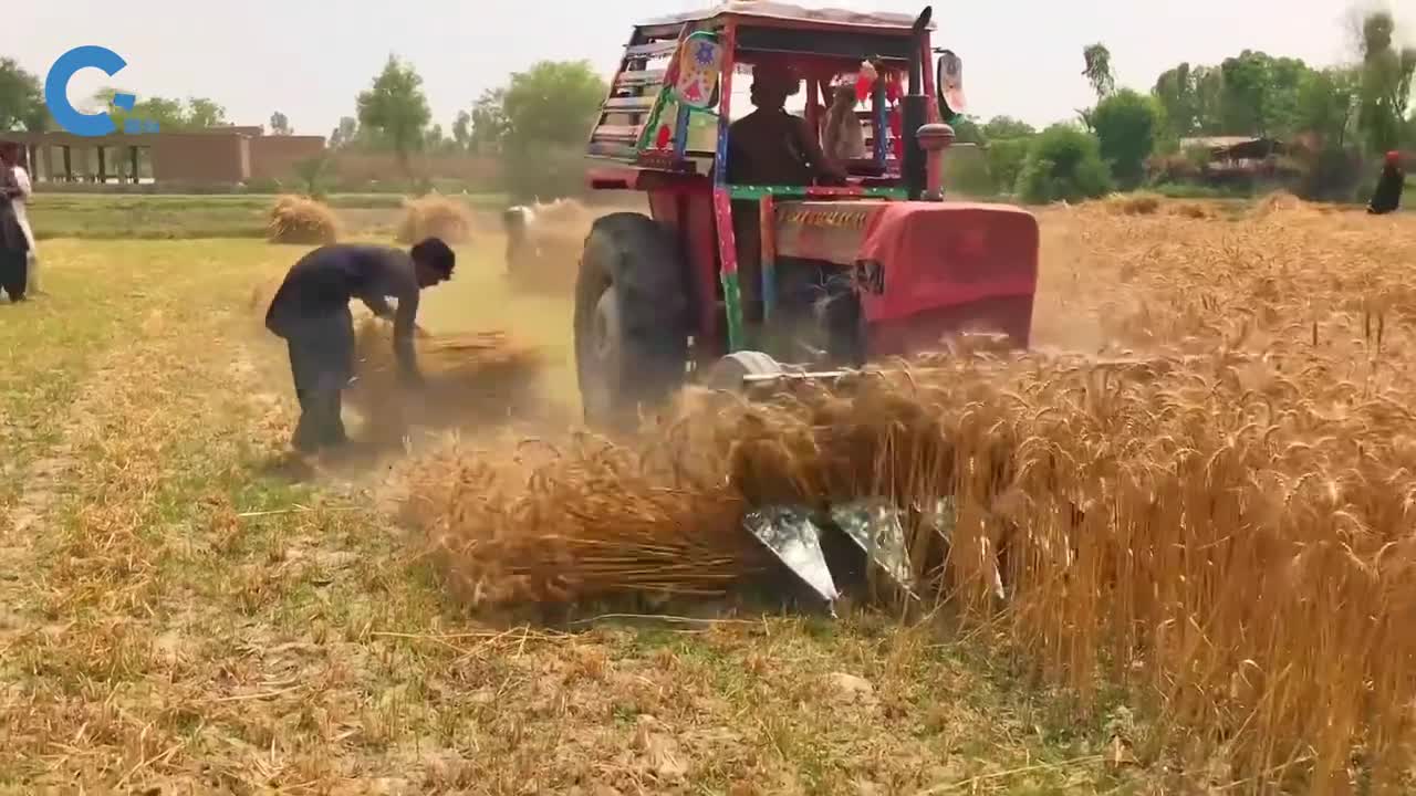 不可思议的小麦收割打捆机一小时收割30亩地