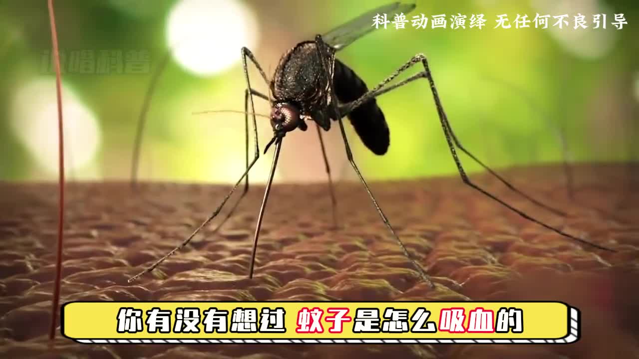 你知道蚊子是如何吸血的吗