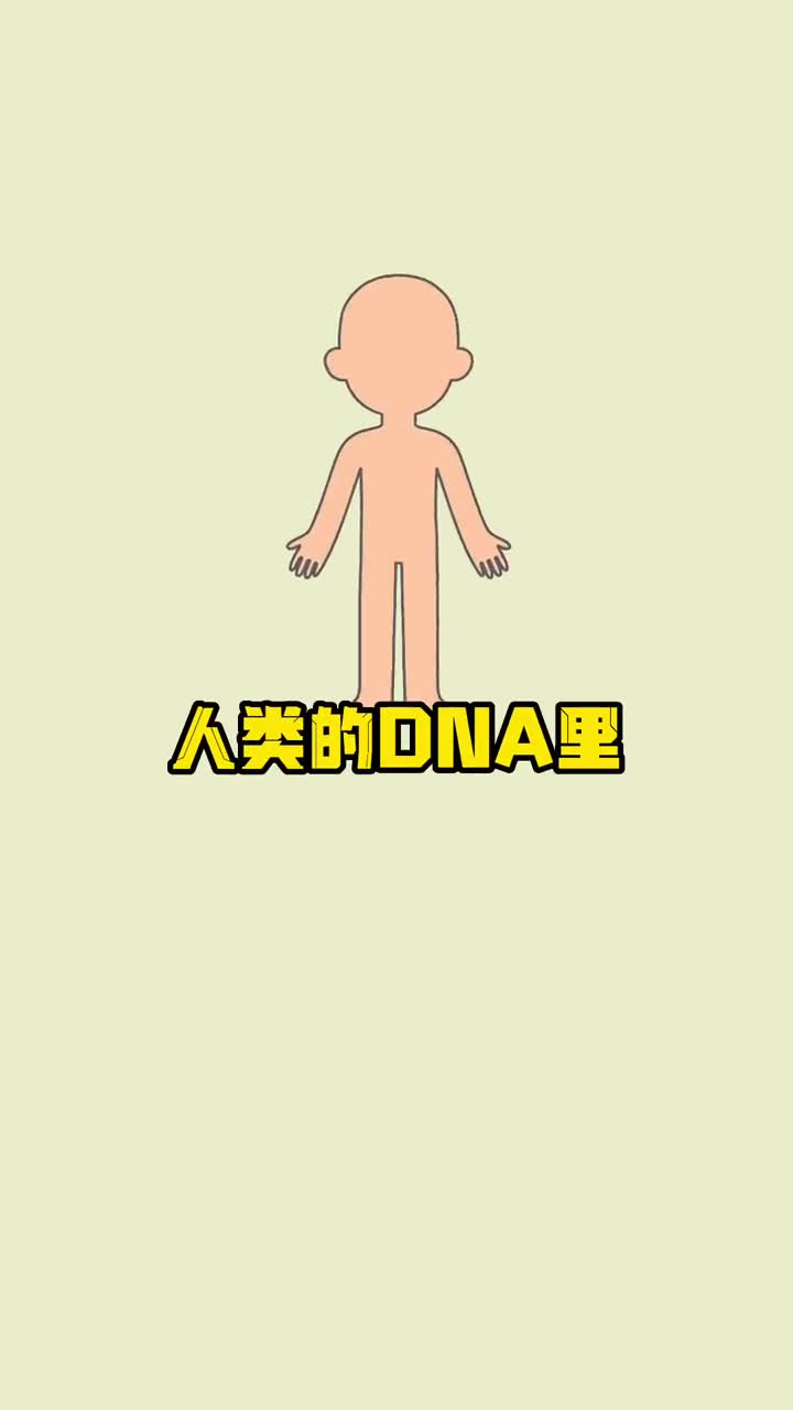 人类的DNA有多长