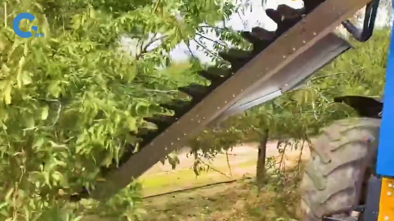 专为果园发明的修剪机