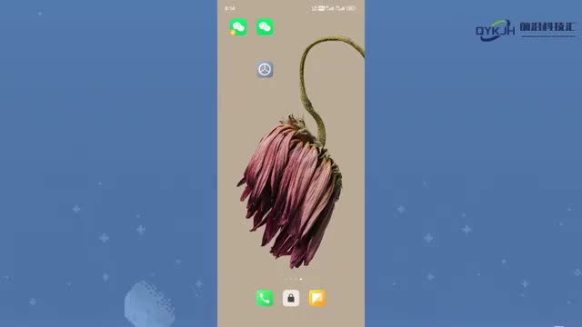 格式化手机怎么弄