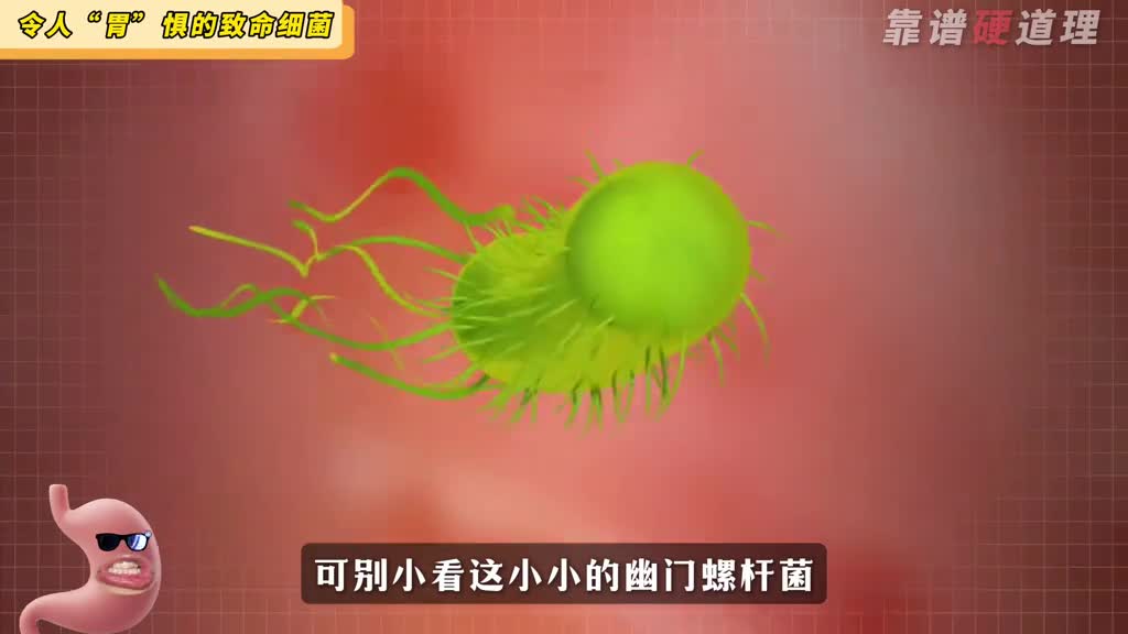 70的胃癌都由这种小小的细菌引起