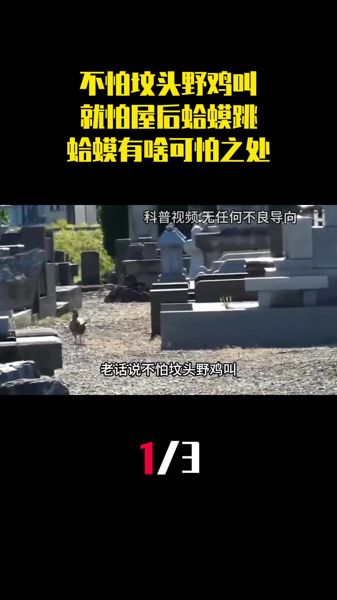 老话说不怕坟头野鸡叫就怕屋后蛤蟆跳蛤蟆有啥可怕之处1