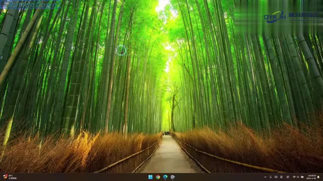 打印机ip怎么自动获取