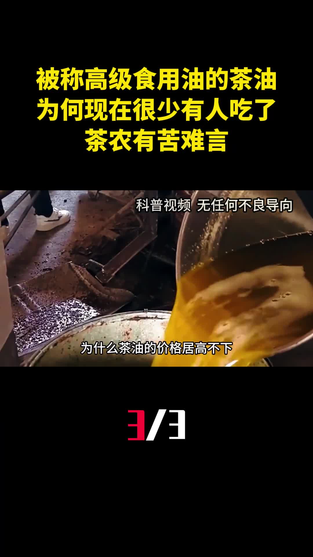 被称为高级食用油的茶油为何现在很少有人吃了茶农有苦难言3