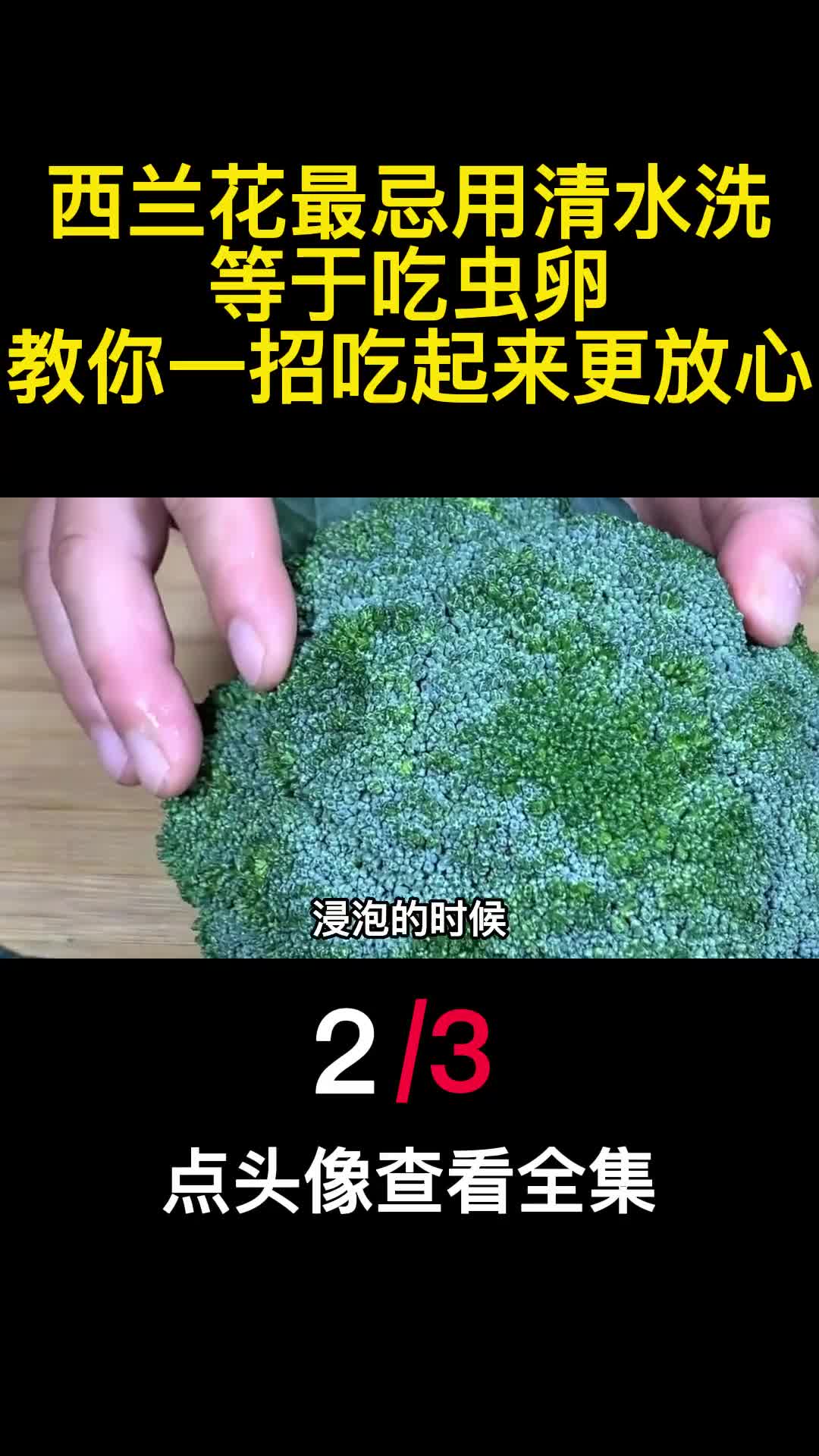 西兰花最忌用清水洗等于吃虫卵教你一招吃起来更放心2