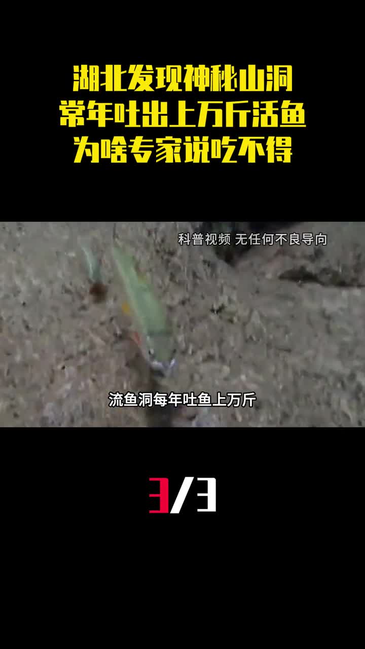 湖北发现神秘山洞常年吐出上万斤活鱼为啥专家说吃不得3