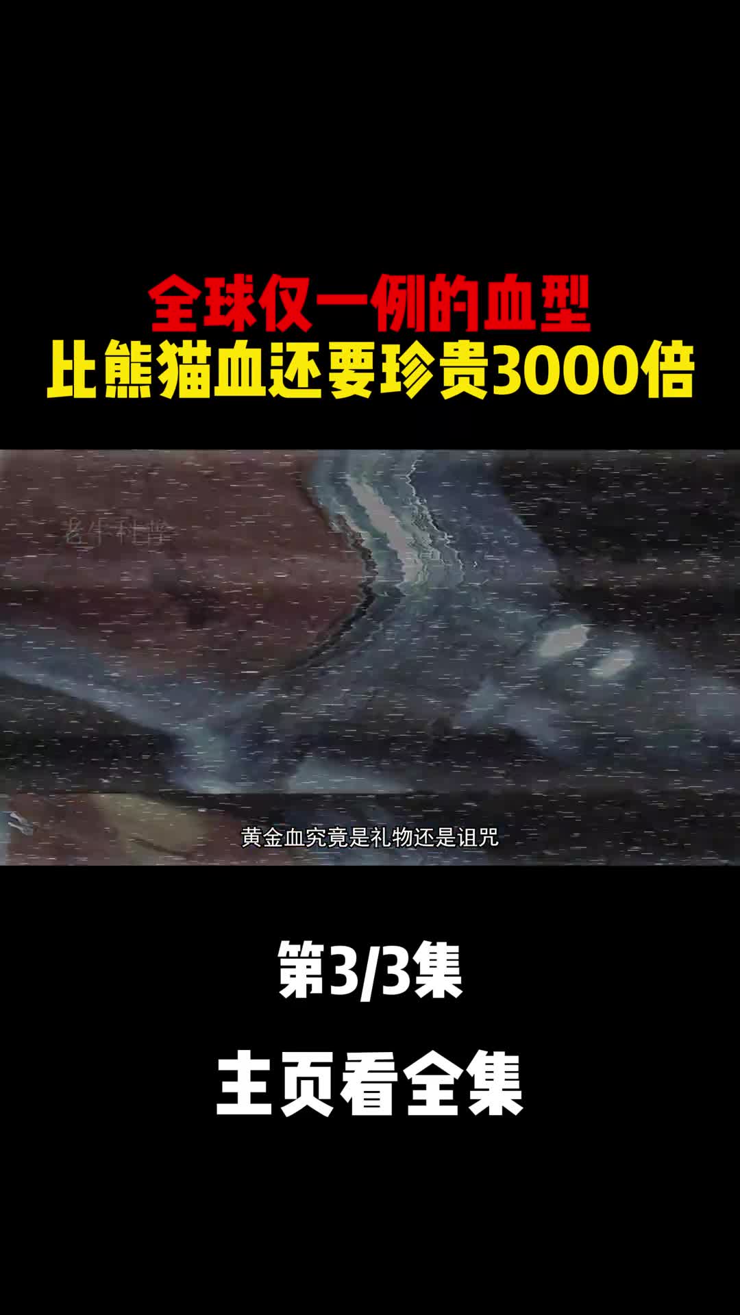 全球仅一例的血型比熊猫血还要珍贵3000倍