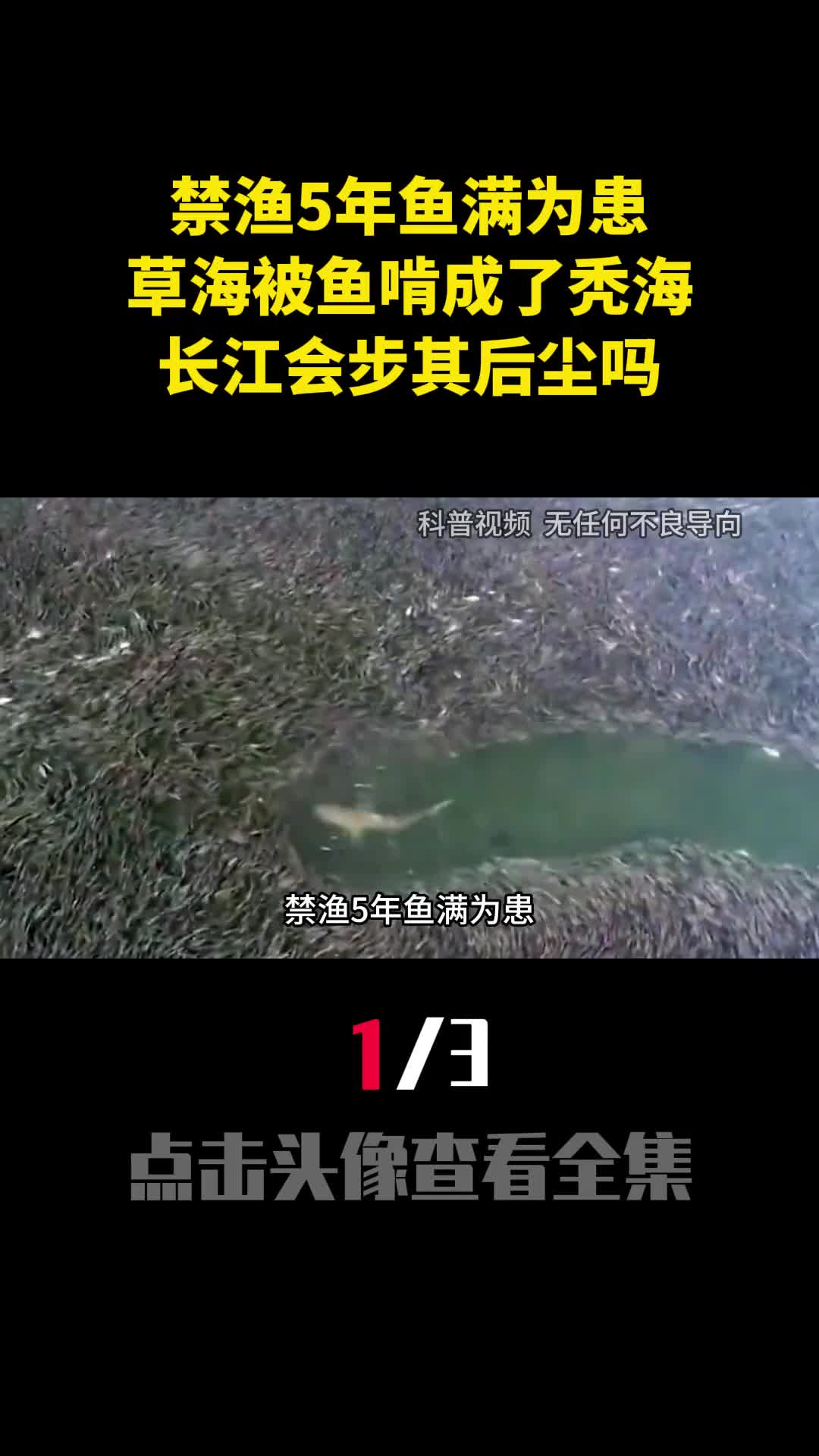 禁渔5年鱼满为患草海被鱼啃成了秃海长江会步其后尘吗1