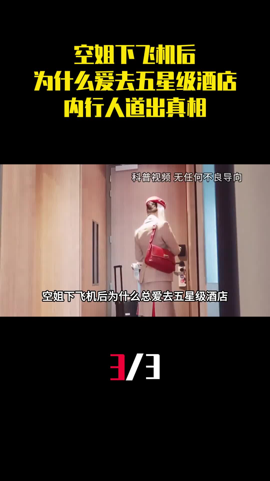 空姐工资不高下飞机后为什么爱去五星级酒店内行人道出真相3