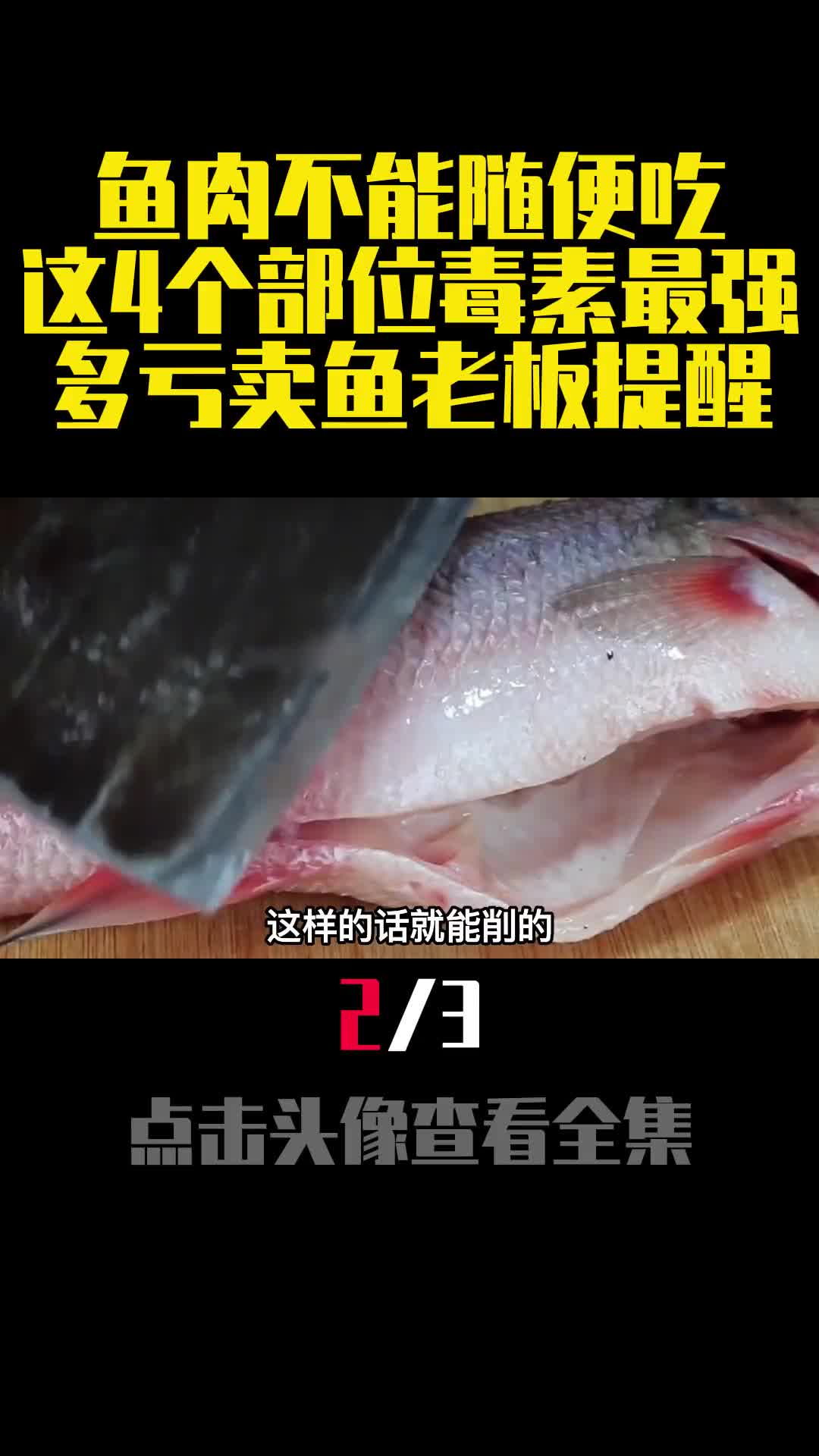 鱼肉不能随便吃这4个部位毒素最强多亏卖鱼老板提醒2