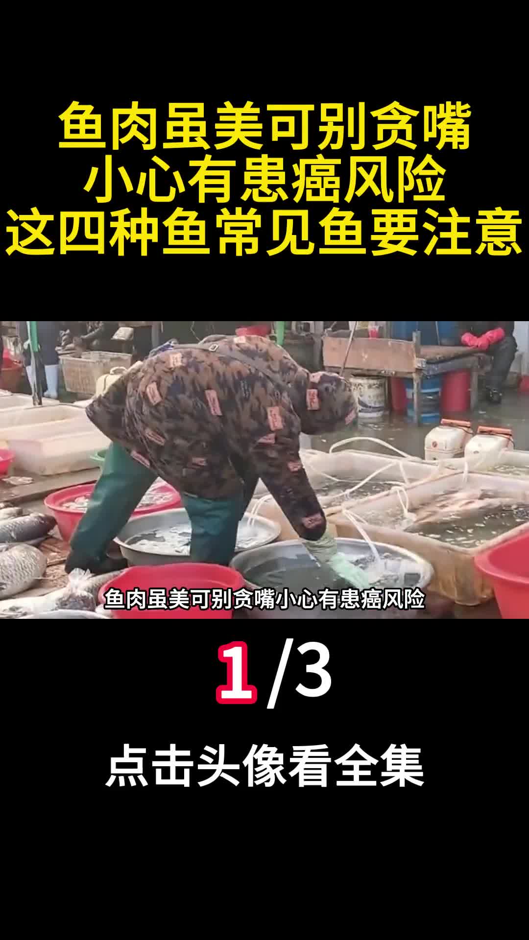 鱼肉虽美可别贪嘴小心有患癌风险这四种鱼常见鱼要注意1