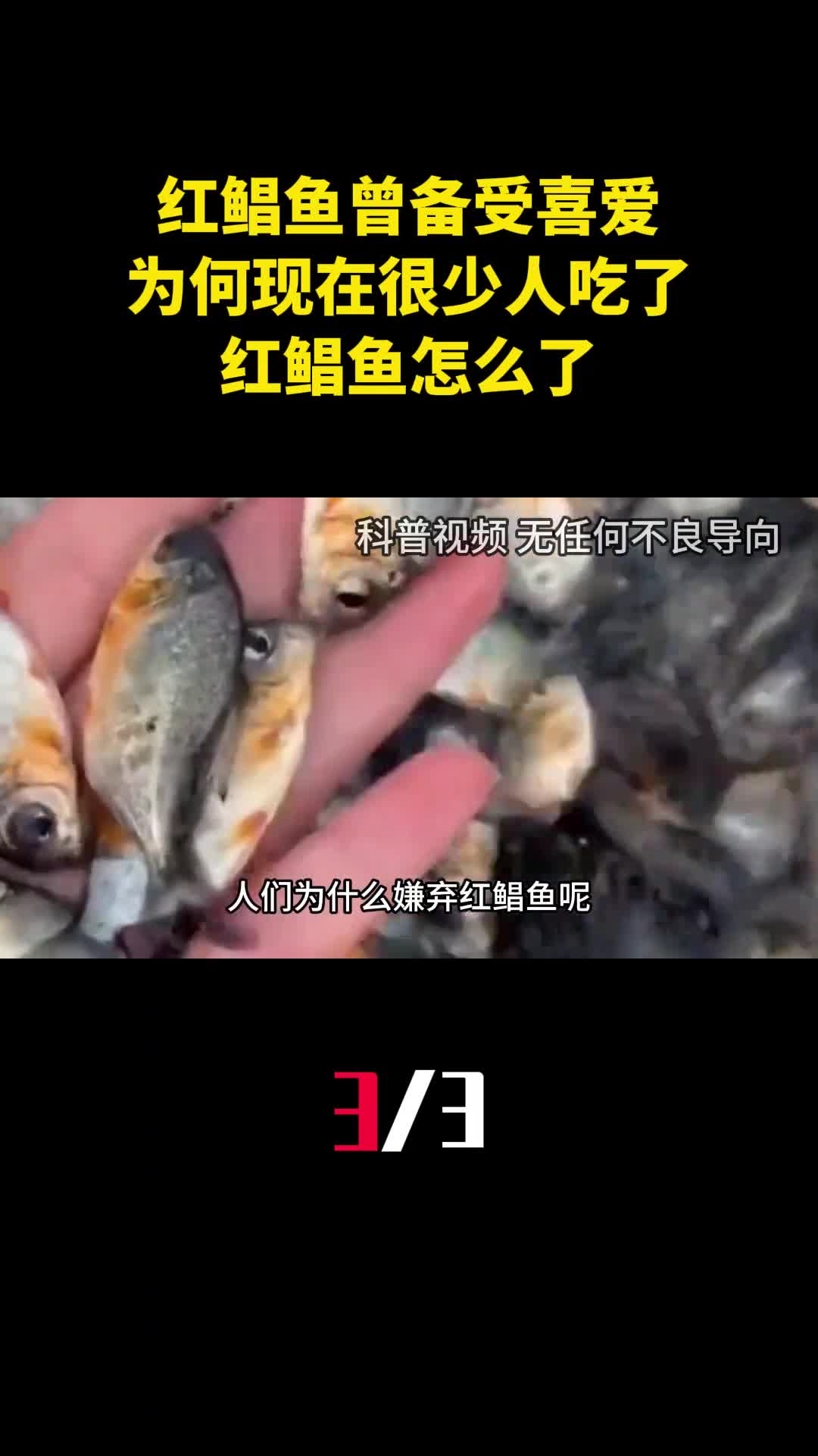 红鲳鱼曾备受南方人喜爱为什么现在很少人吃了红鲳鱼怎么了3