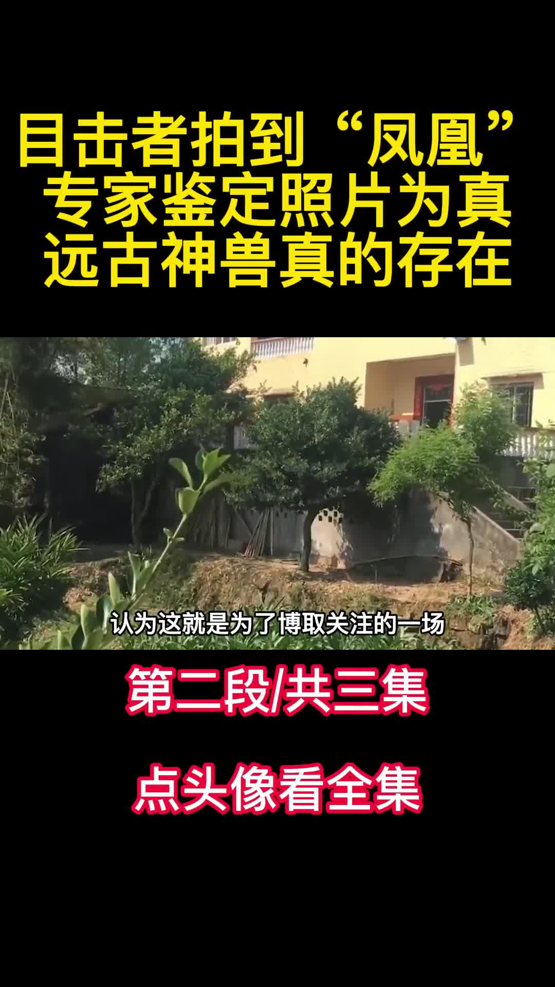 目击者拍到凤凰专家鉴定照片为真远古神兽真的存在2