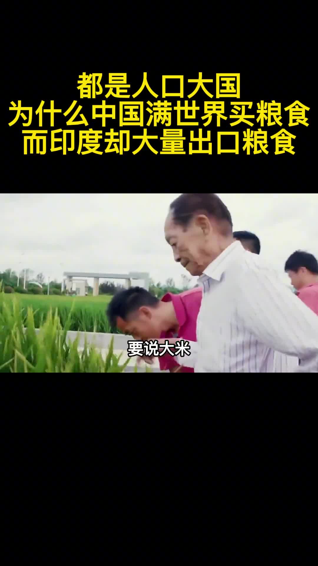 都是人口大国为什么中国满世界买粮食而印度却大量出口粮食1