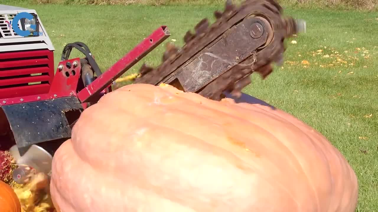 不可思议的南瓜粉碎机把整排的南瓜粉碎在地里