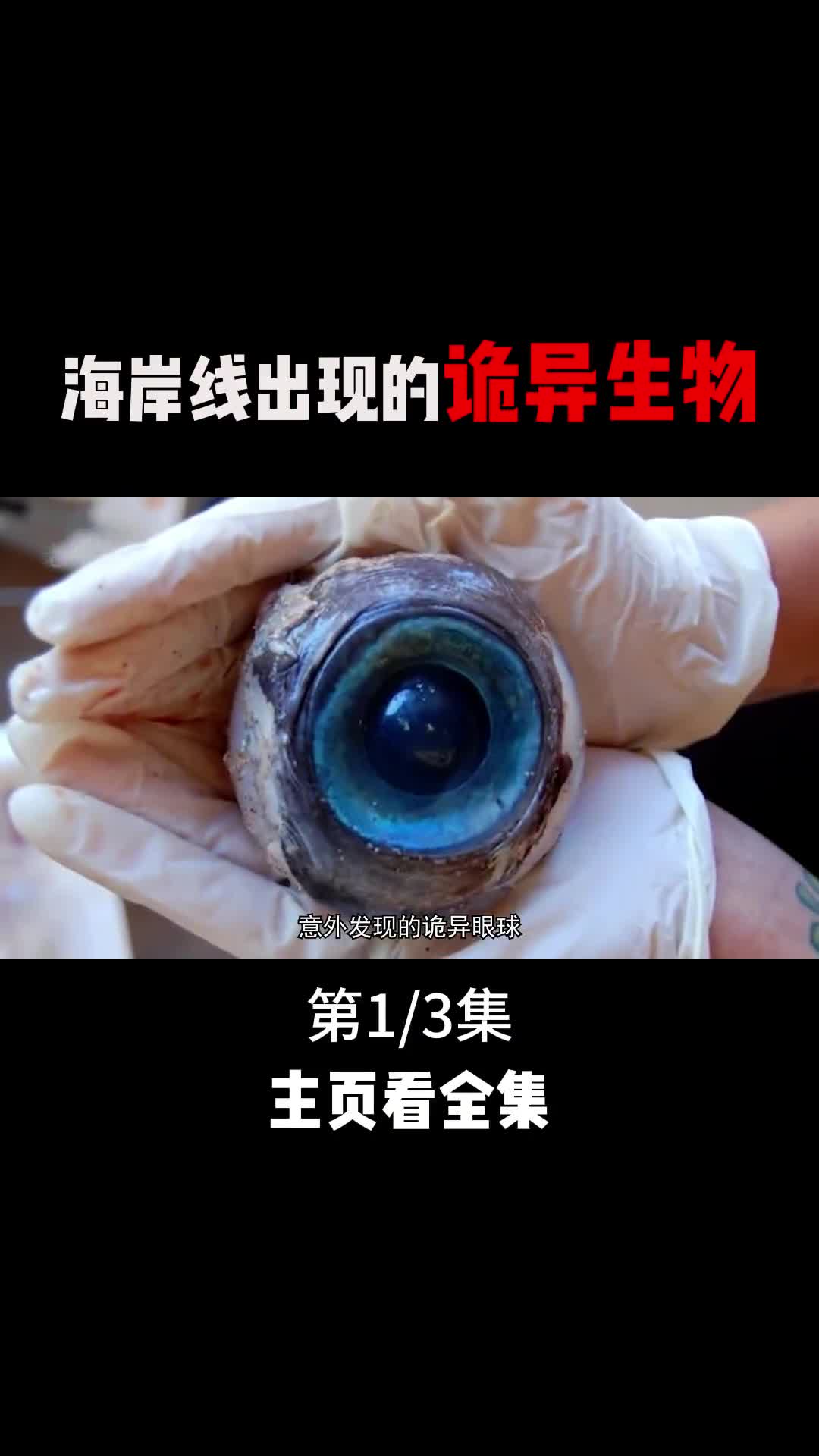 海岸线出现的深海诡异巨兽每个都令人发指你觉得哪个最恐怖1