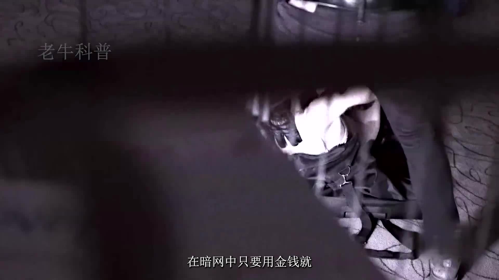 第二集暗网中能买到什么结果一定会颠覆你的认知