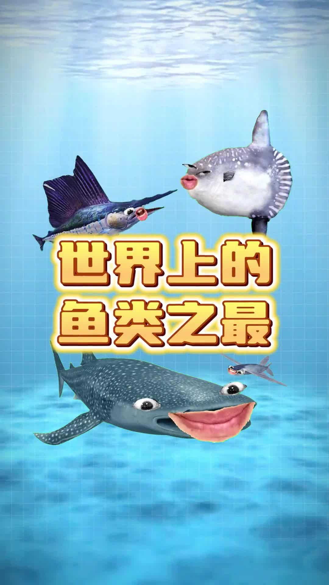 以后还能看到这些神奇的海洋生物吗