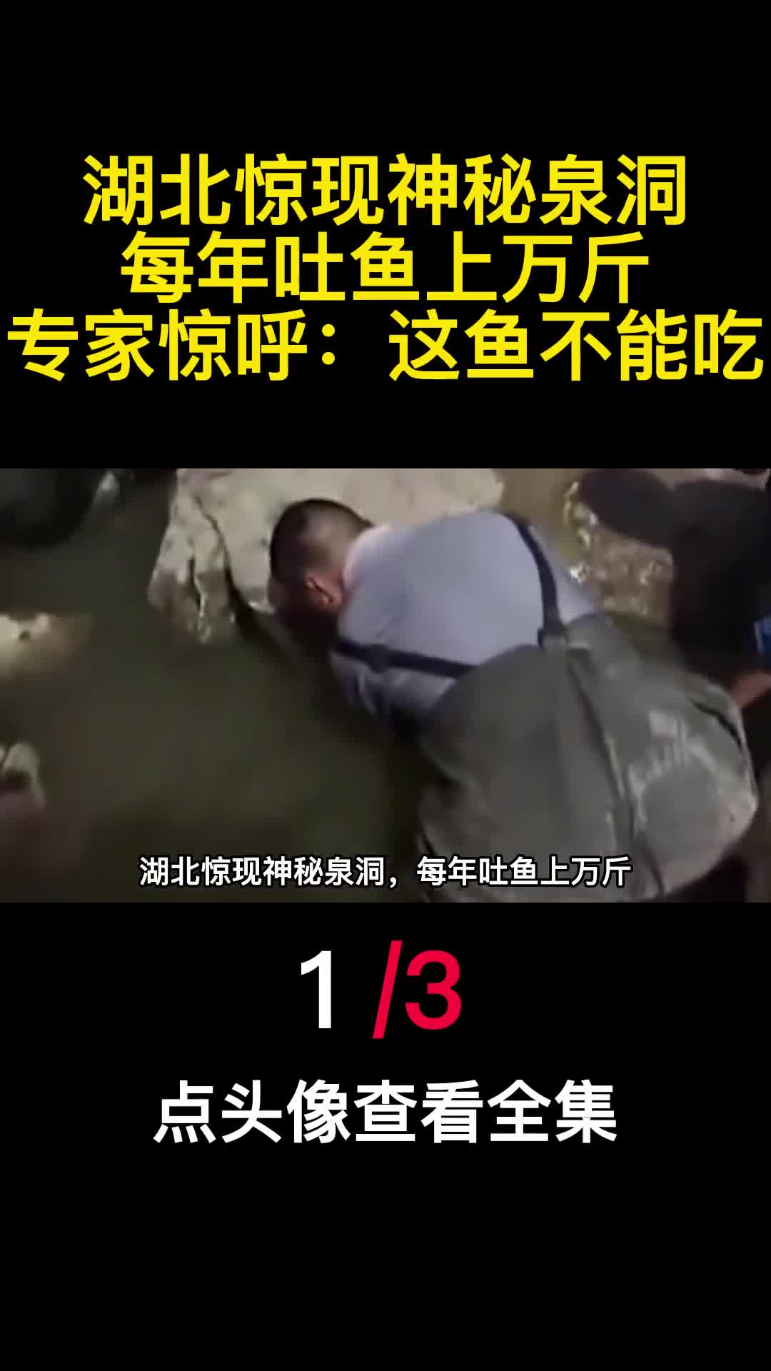 湖北惊现神秘泉洞每年吐鱼上万斤专家惊呼这鱼不能吃1