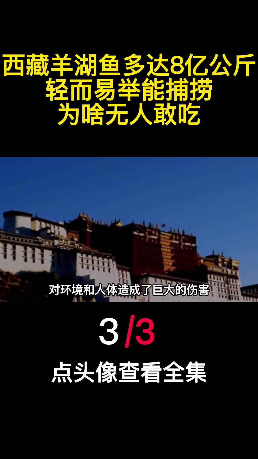 西藏羊湖鱼多大8亿公斤轻而易举能捕捞为啥无人敢吃3