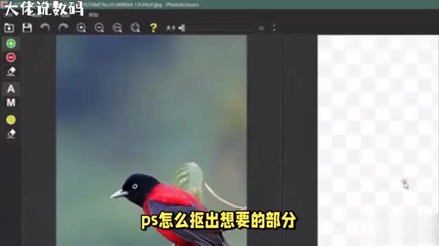 PS神技一步到位轻松抠出你想要的图片部分