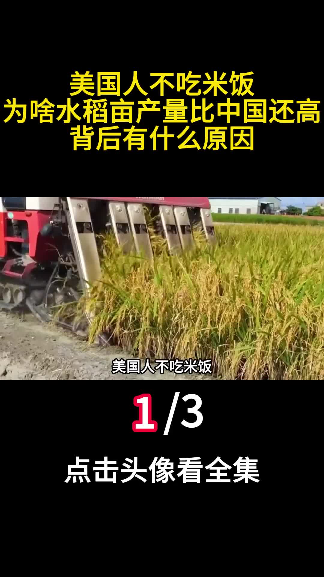 美国人不吃米饭为啥水稻亩产量比中国还高背后有什么原因1