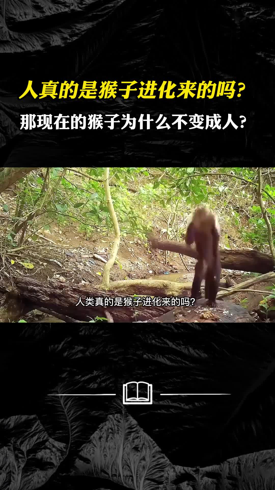 人真的是猴子进化来的吗那现在的猴子为什么不变成人