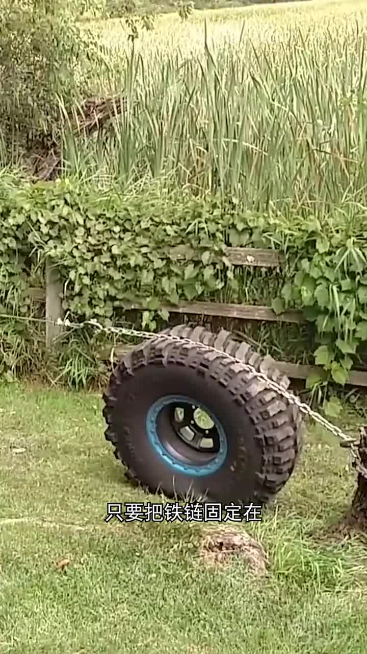 利用轮胎拔掉树根