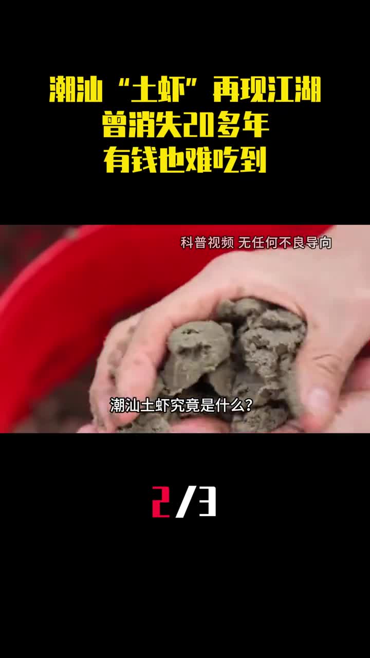 潮汕土虾再现江湖曾消失20多年成了有钱也难吃到的美食2