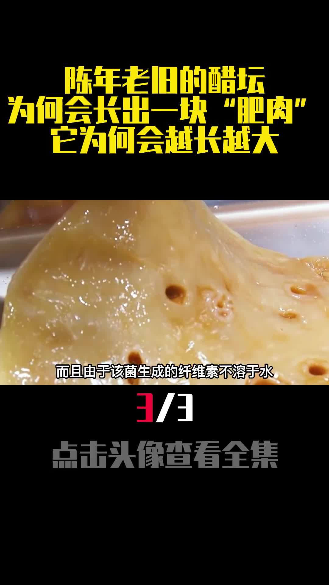 陈年老旧的醋坛为何会长出一块肥肉它为何会越长越大3