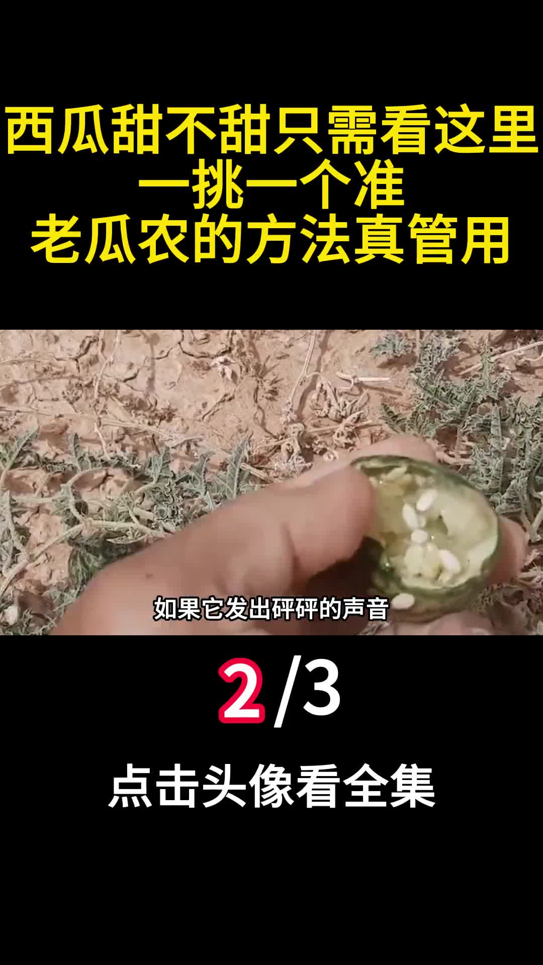 西瓜甜不甜只需看这里一挑一个准老瓜农的方法真管用2