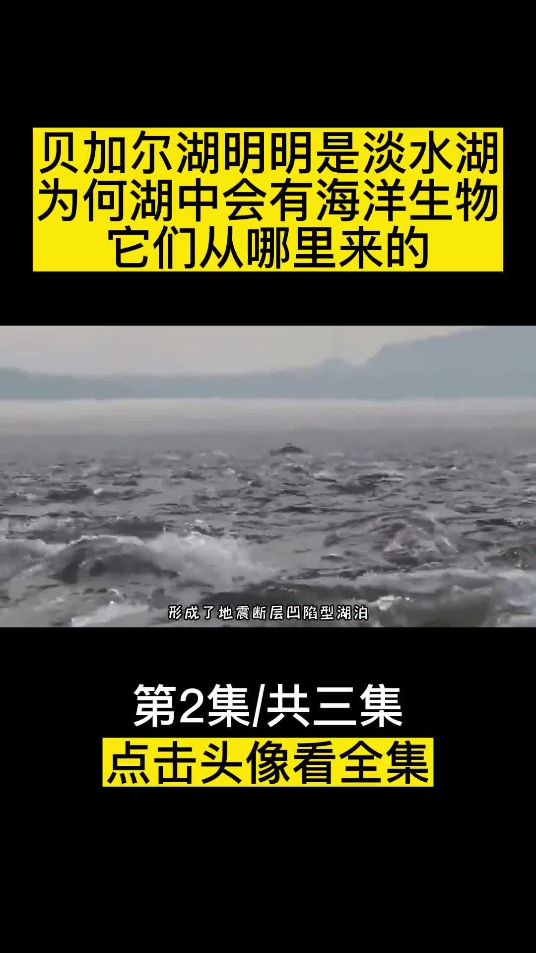 贝加尔湖明明是淡水湖为何湖中会有海洋生物它们从哪里来的