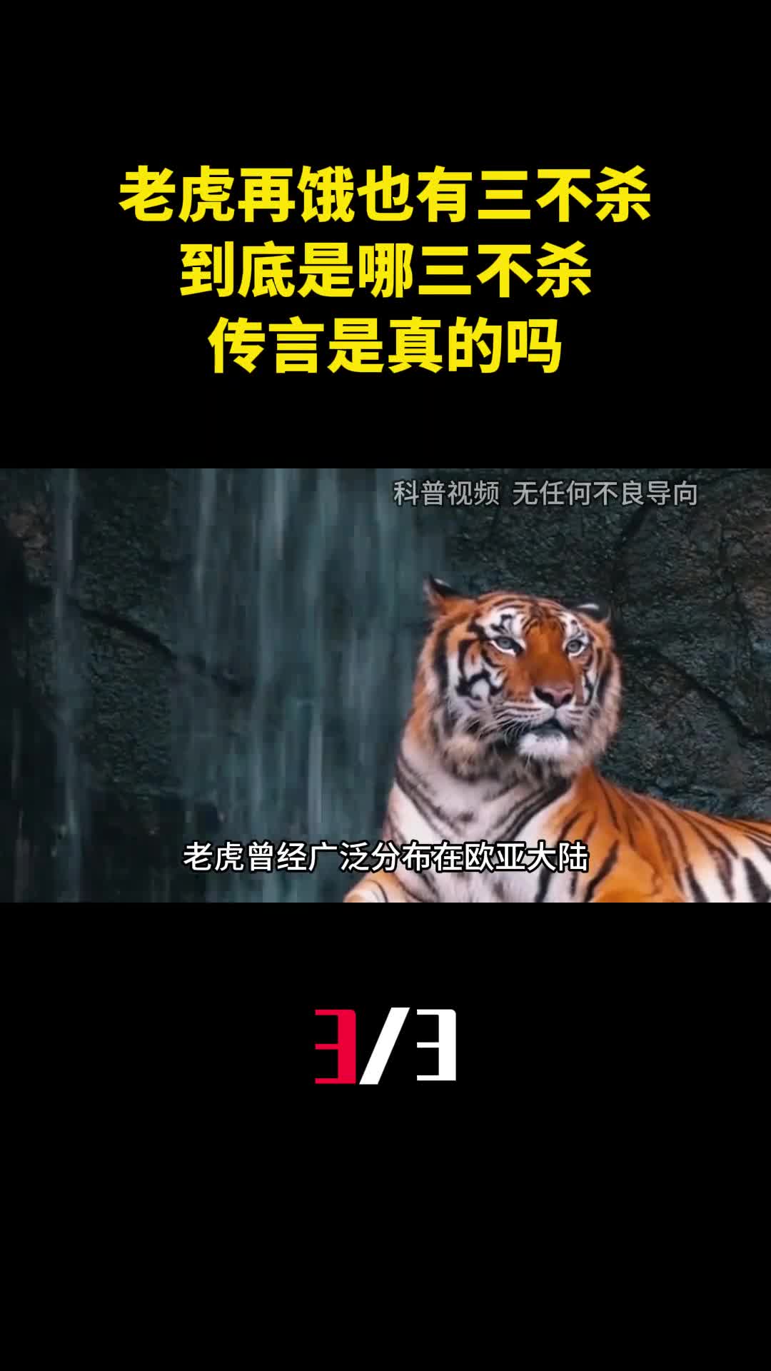 老虎再饿也有三不杀到底是哪三不杀传言是真的吗3