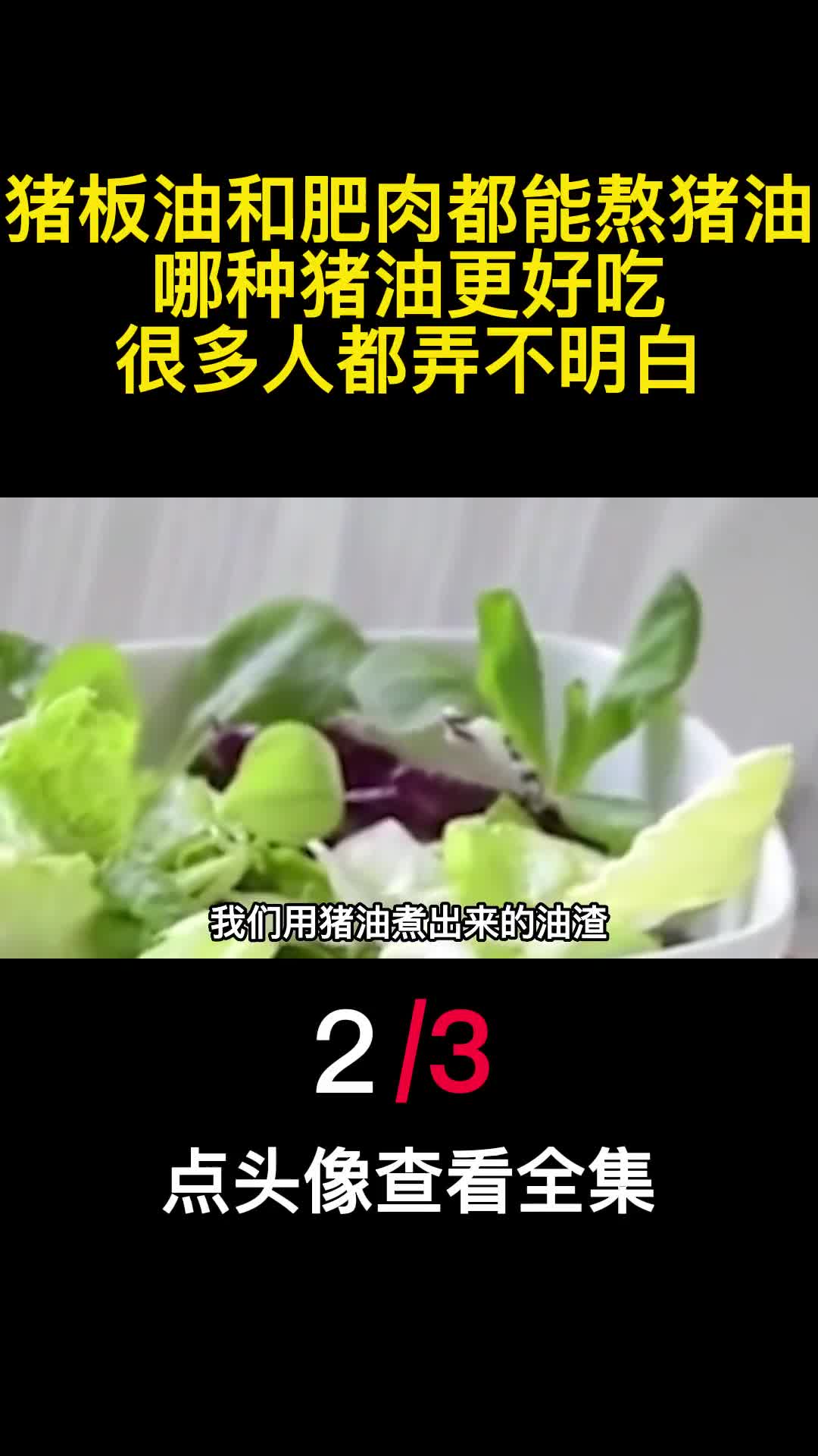 猪板油和肥肉都能熬猪油哪种猪油更好吃很多人都弄不明白2