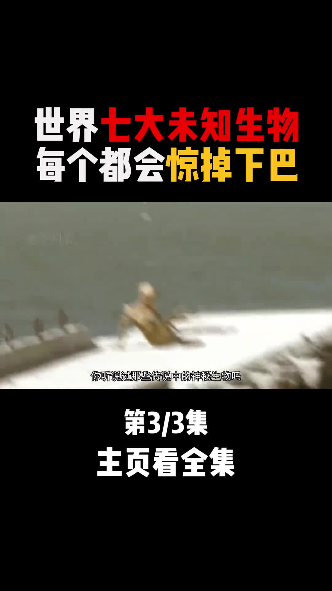 世界上七大未知生物3