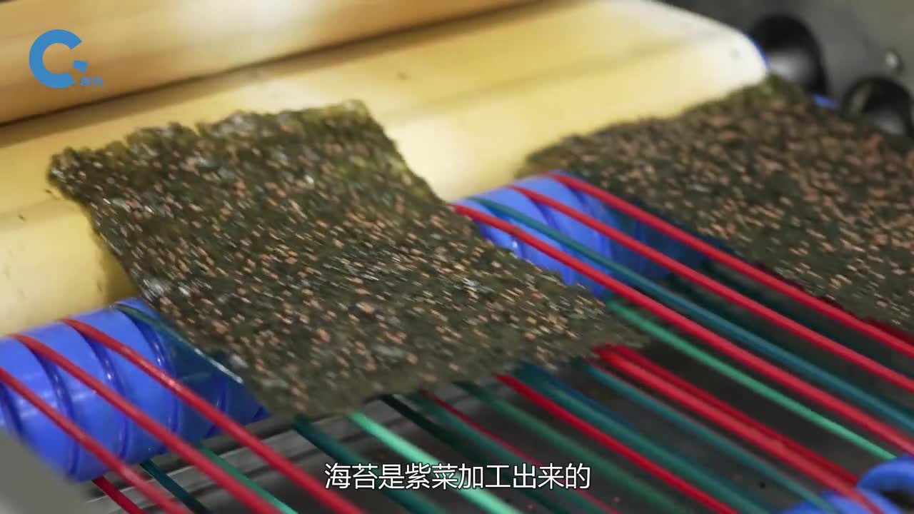 便宜的紫菜为什么能加工出昂贵的海苔