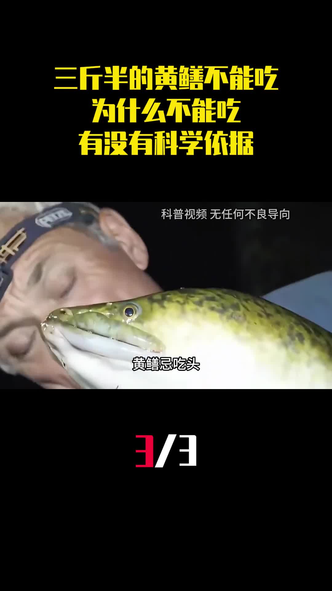 老人说三斤半的黄鳝不能吃为什么不能吃有没有科学依据3