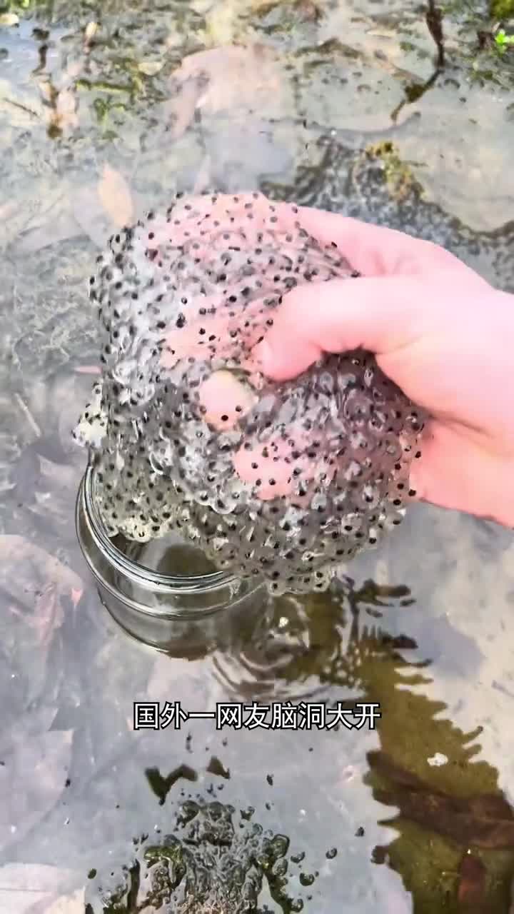 小蝌蚪是怎样变成青蛙的