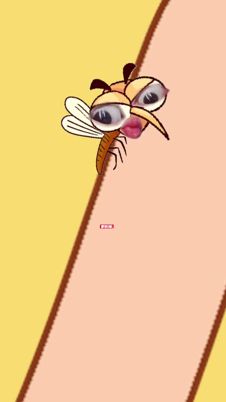 蚊子吃饭有什么规矩