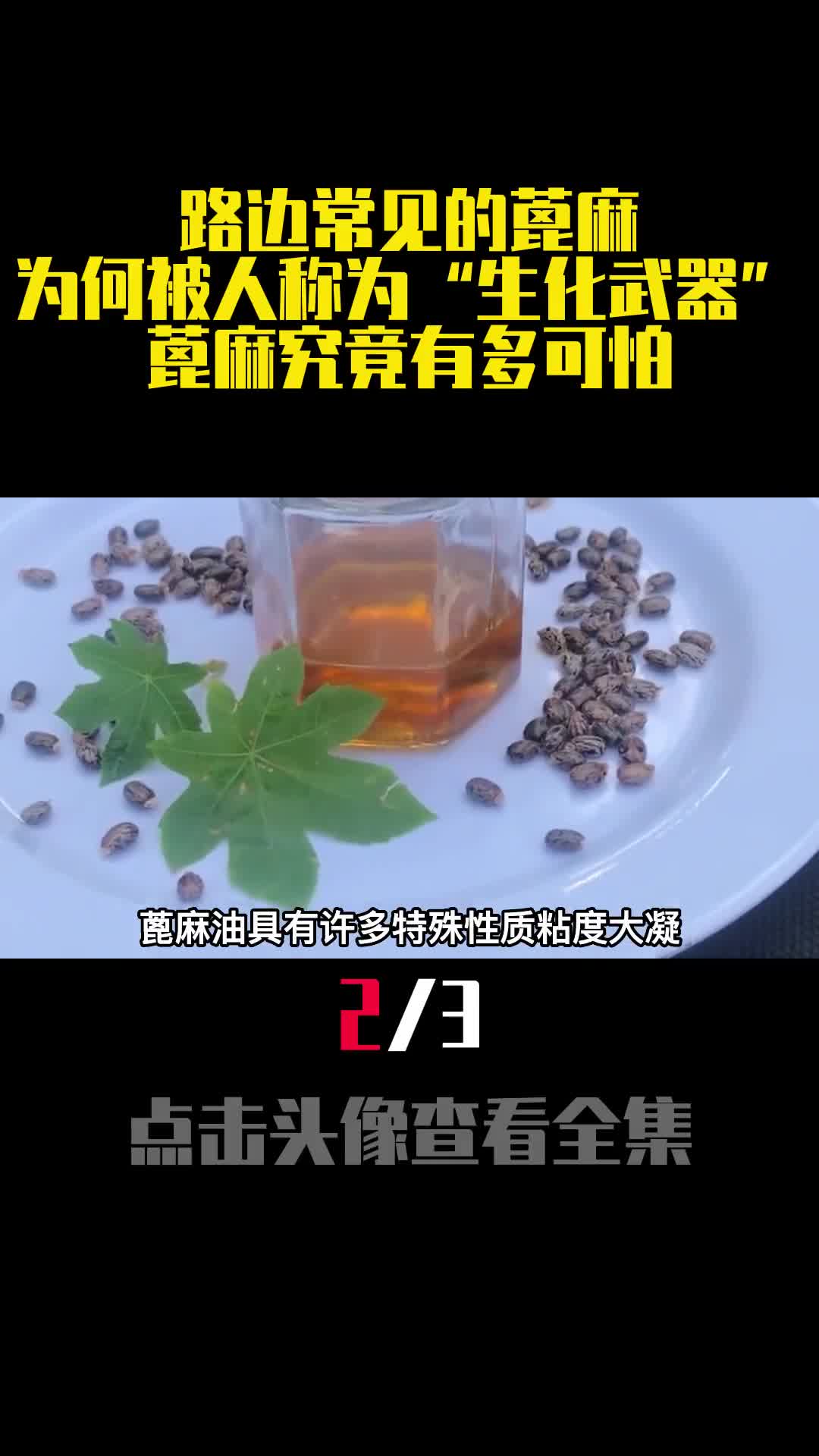 路边常见的蓖麻为何被人称为生化武器蓖麻究竟有多可怕2