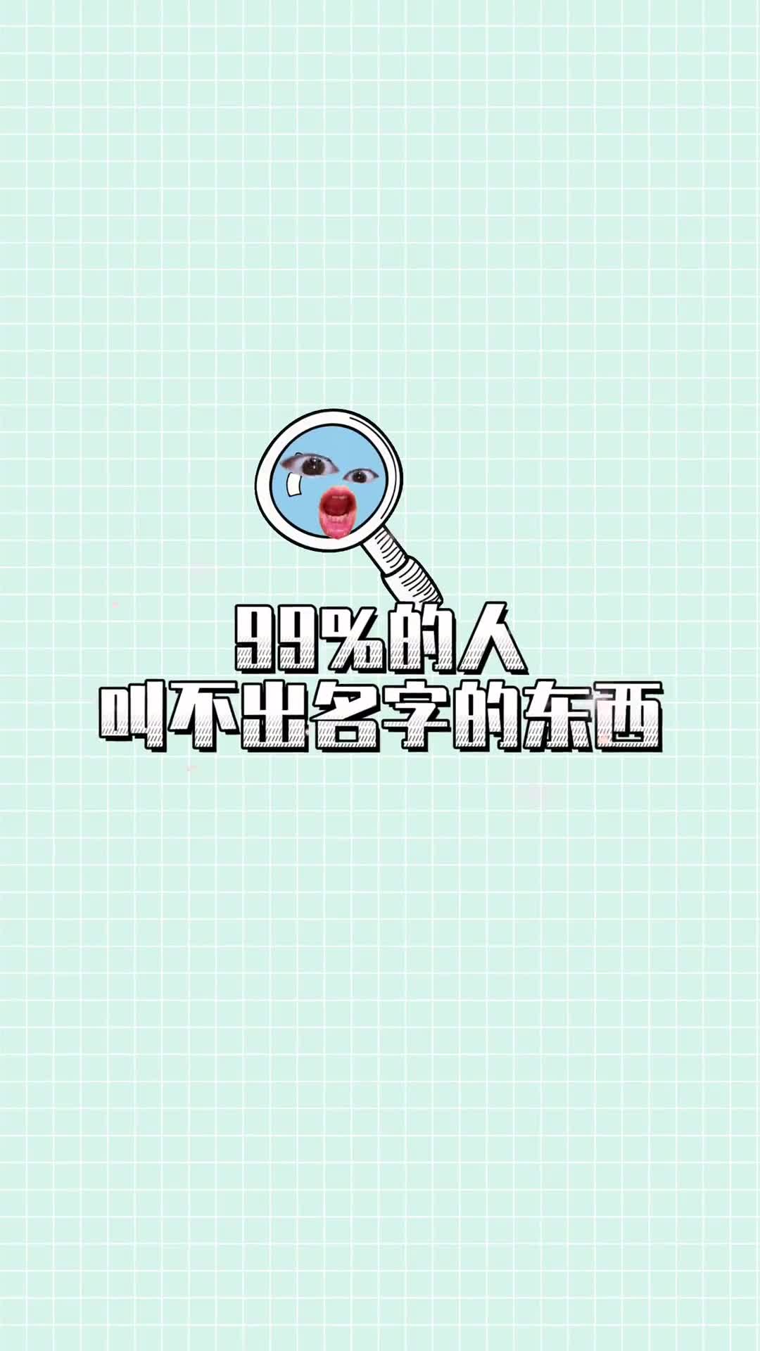 这些东西你都能叫上名字吗