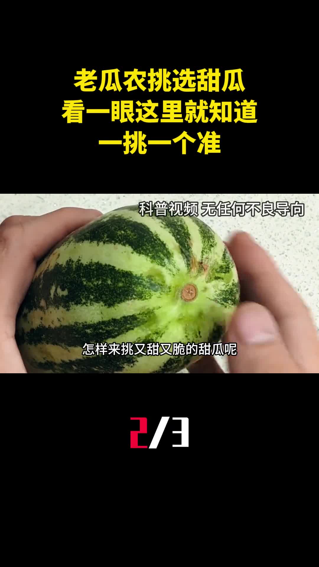老瓜农挑选甜瓜的好方法甜不甜看一眼这里就知道一挑一个准2